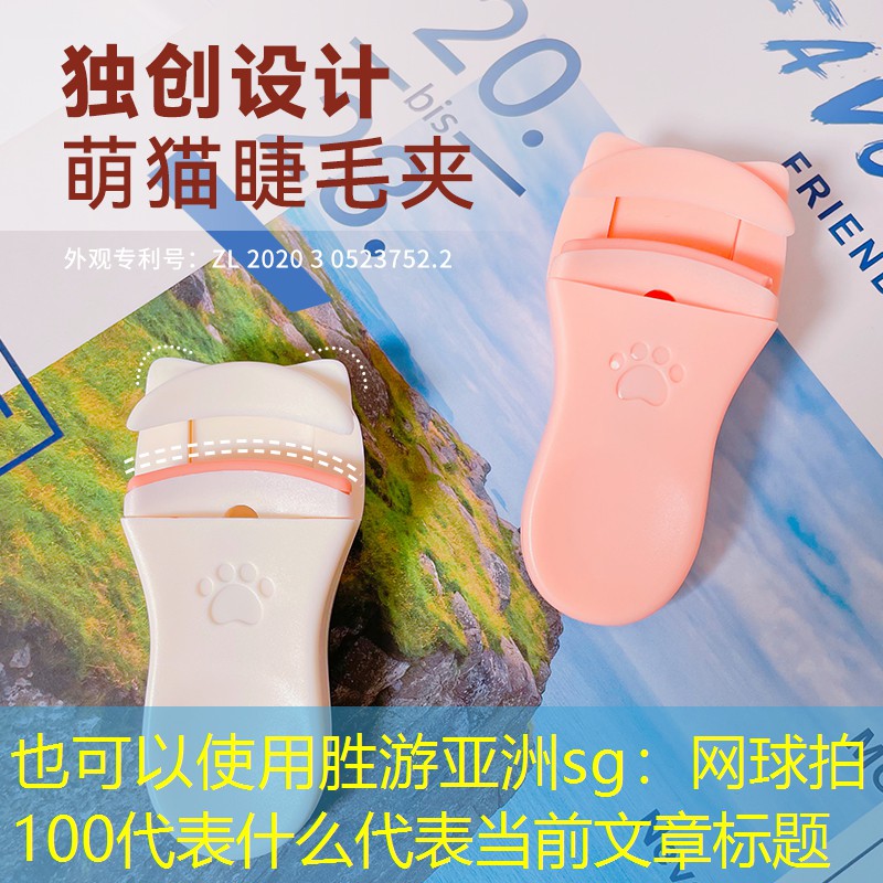 网球拍100代表什么